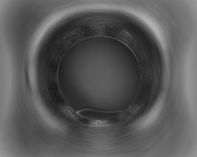 X0000116110239200911231152