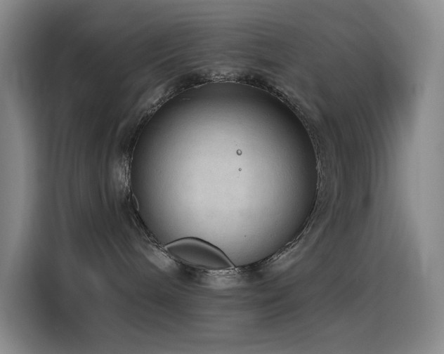 X0000116110240200911231152