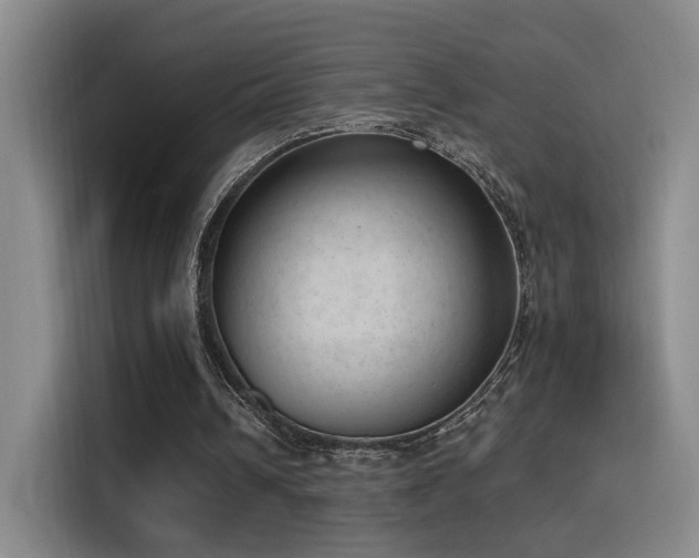 X0000116110242200911231151