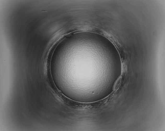 X0000116110243200911231151