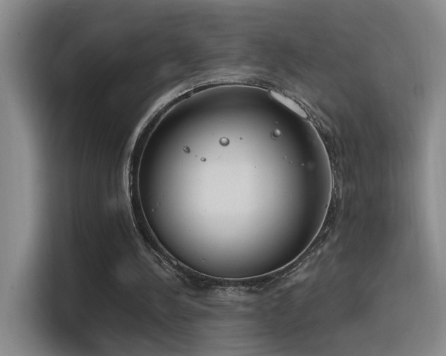 X0000116110244200911231151