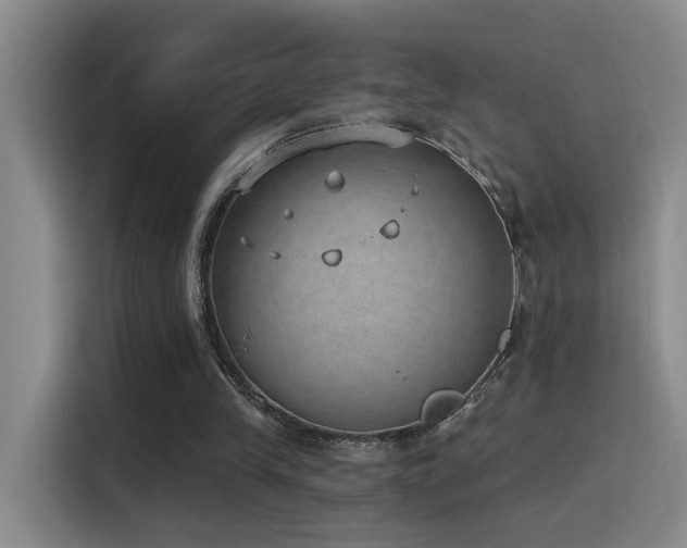 X0000116110245200911231151