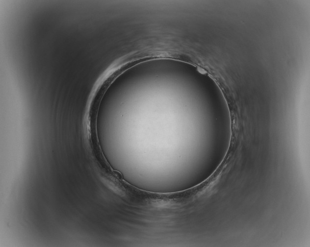 X0000116110246200911231151