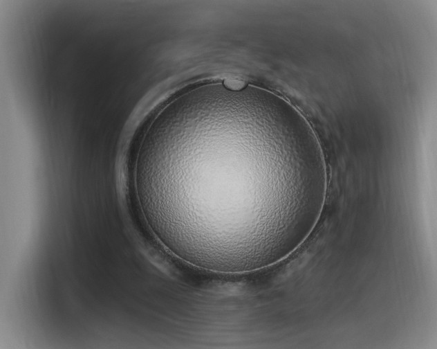 X0000116110247200911231151