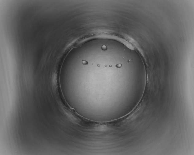 X0000116110249200911231151