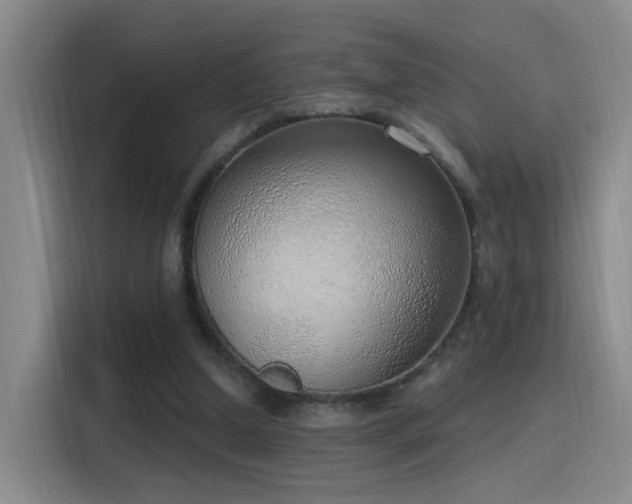 X0000116110250200911231151