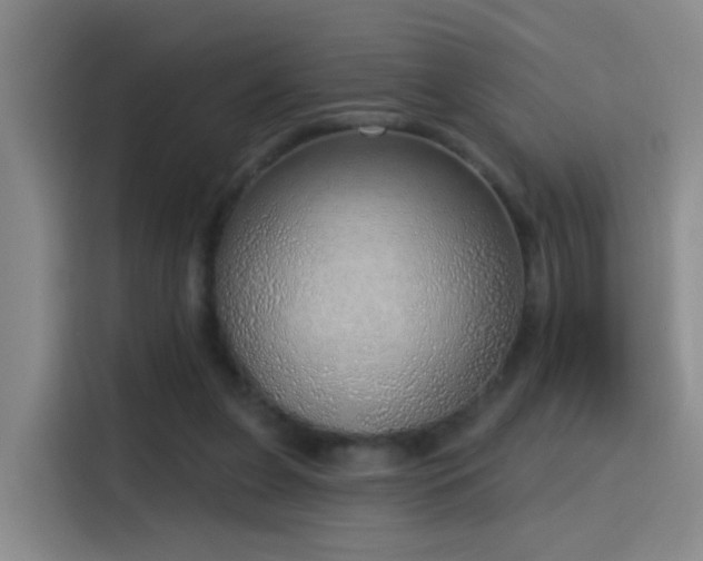 X0000116110255200911231151