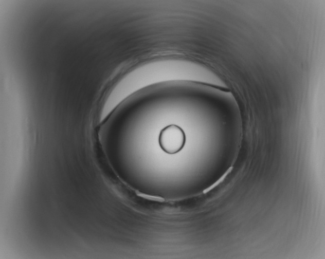 X0000116110256200911231151