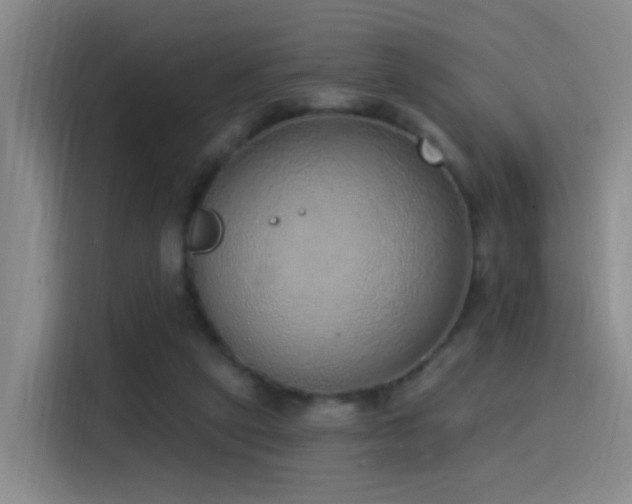 X0000116110257200911231151