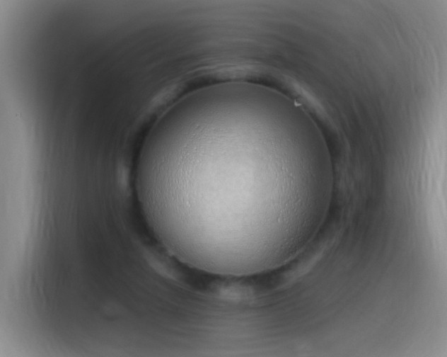 X0000116110258200911231151