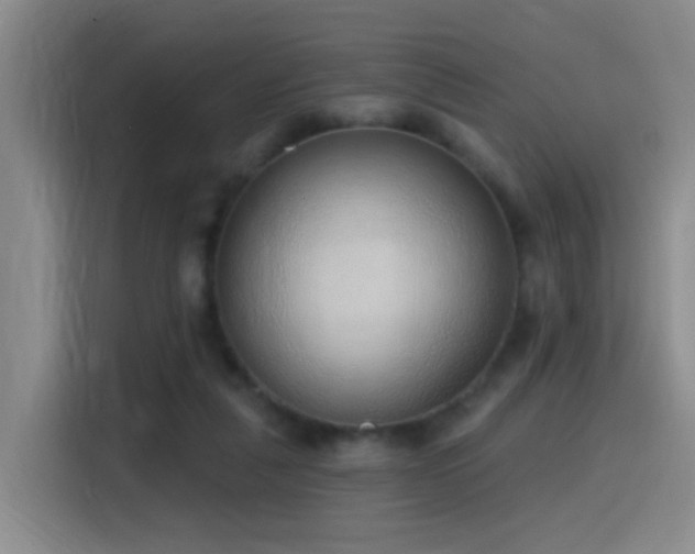 X0000116110259200911231151