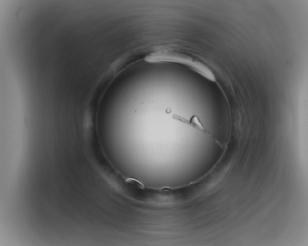 X0000116110260200911231151