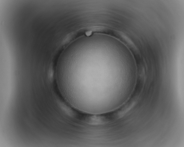 X0000116110261200911231151