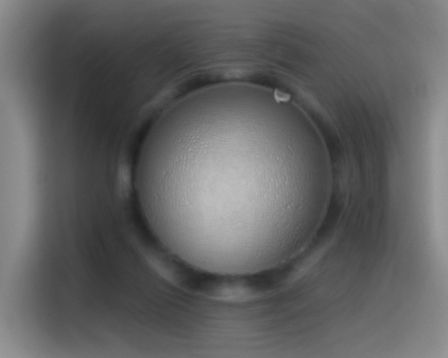 X0000116110262200911231151