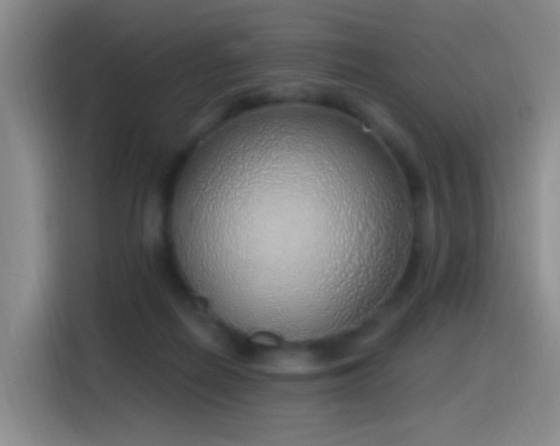 X0000116110266200911231151