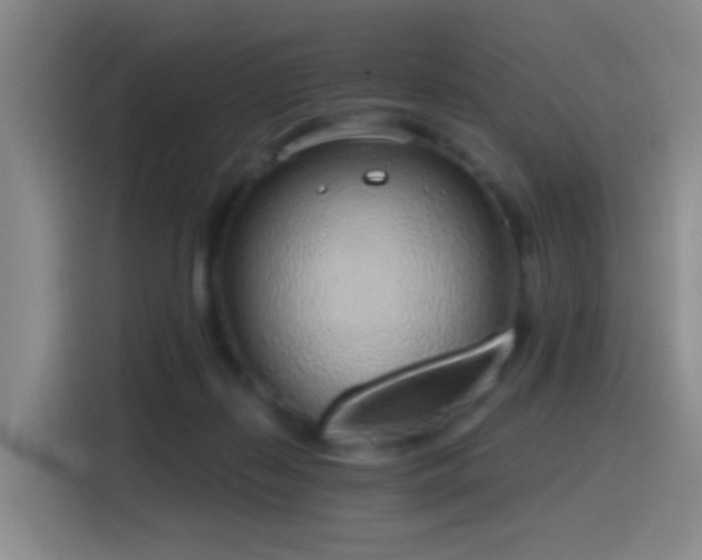 X0000116110267200911231151