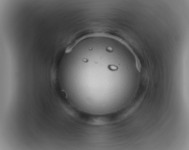 X0000116110268200911231151