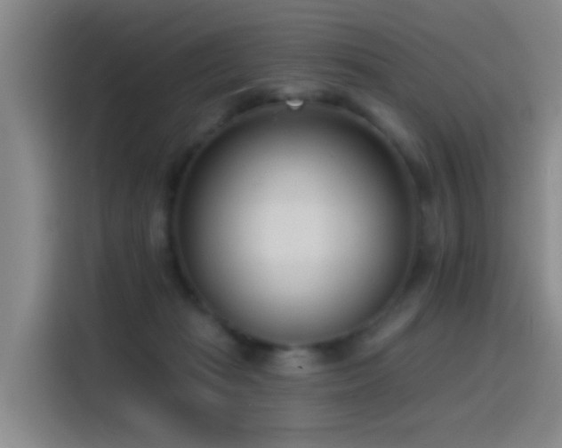 X0000116110269200911231151