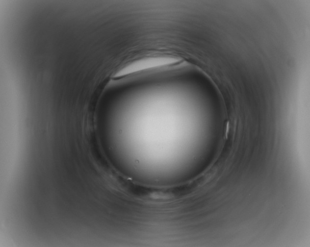 X0000116110272200911231151