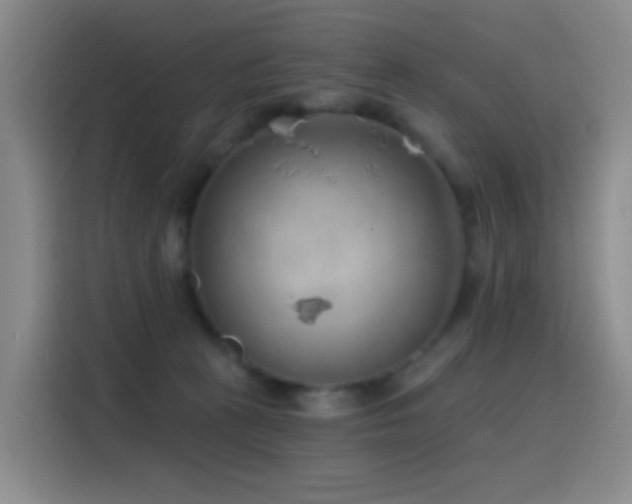 X0000116110273200911231151