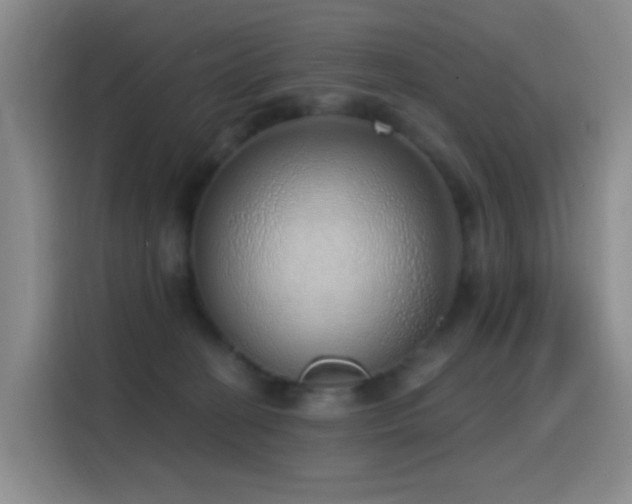 X0000116110274200911231151