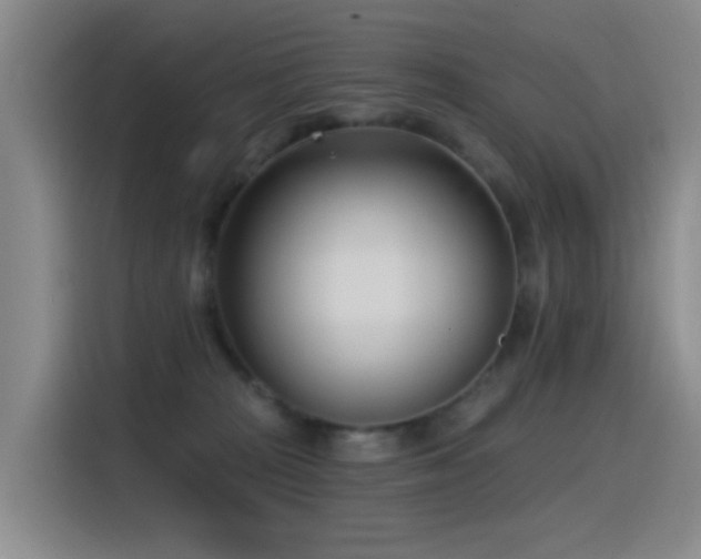 X0000116110277200911231151