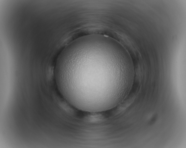 X0000116110278200911231151