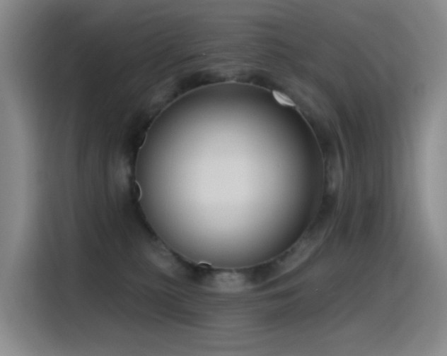 X0000116110279200911231151