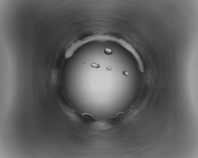 X0000116110280200911231151