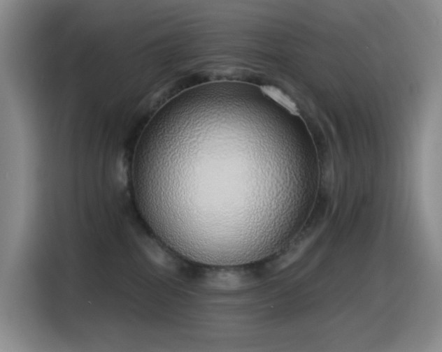 X0000116110282200911231151