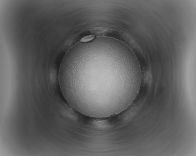 X0000116110283200911231151