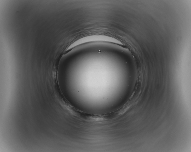 X0000116110284200911231151