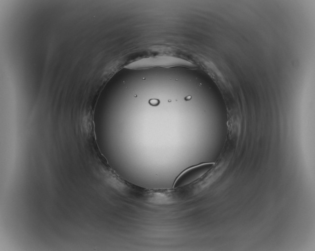 X0000116110285200911231151