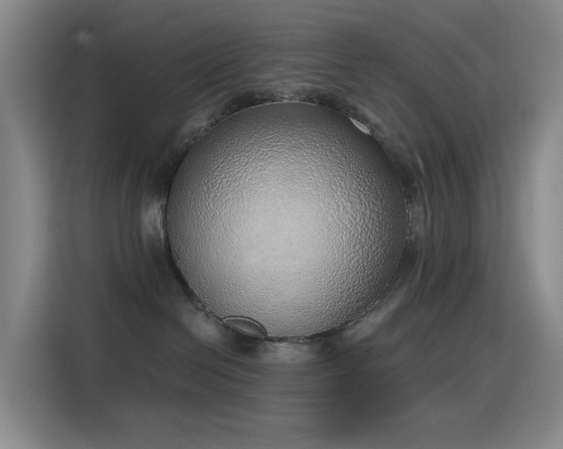 X0000116110286200911231152