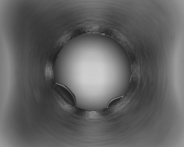 X0000116110287200911231152