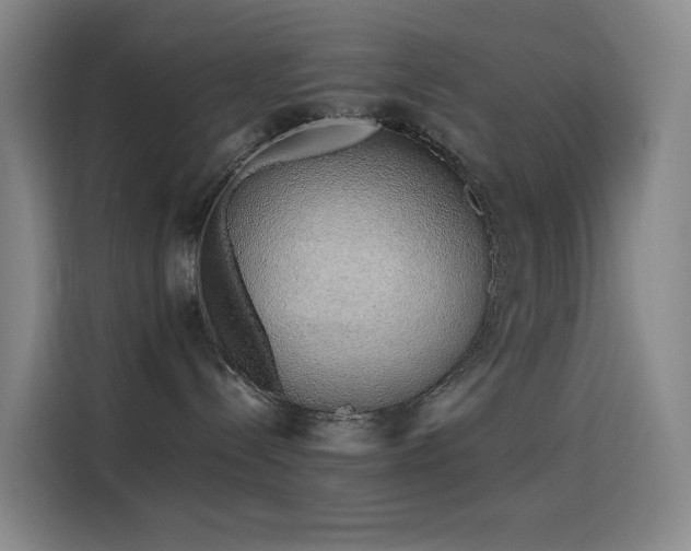 X0000116110288200911231152