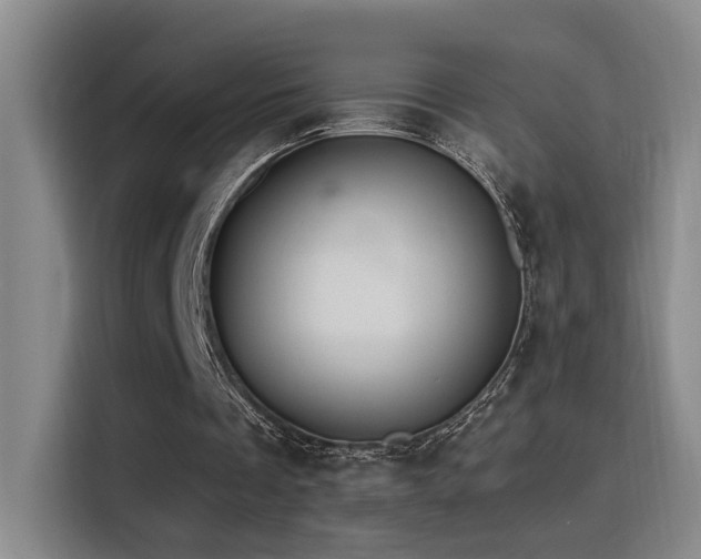 X0000116110289200911231151