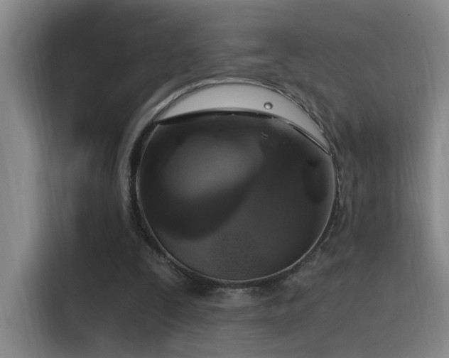 X0000116110295200911231151