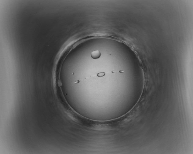 X0000116110296200911231151