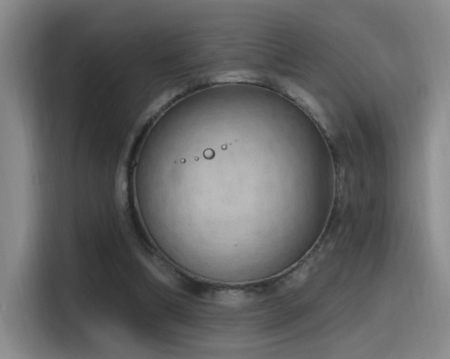 X0000116110298200911231151