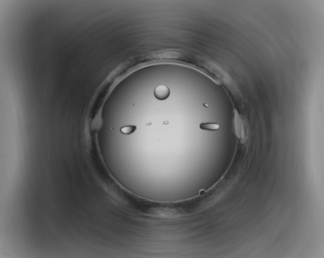 X0000116110300200911231151