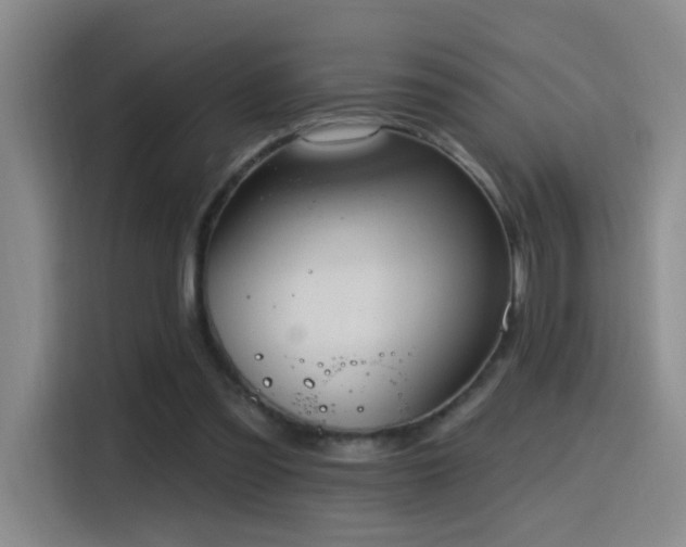 X0000116110301200911231151