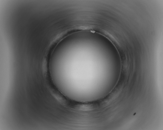 X0000116110303200911231151