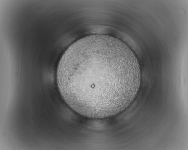 X0000116110305200911231151