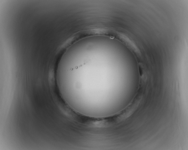 X0000116110306200911231151