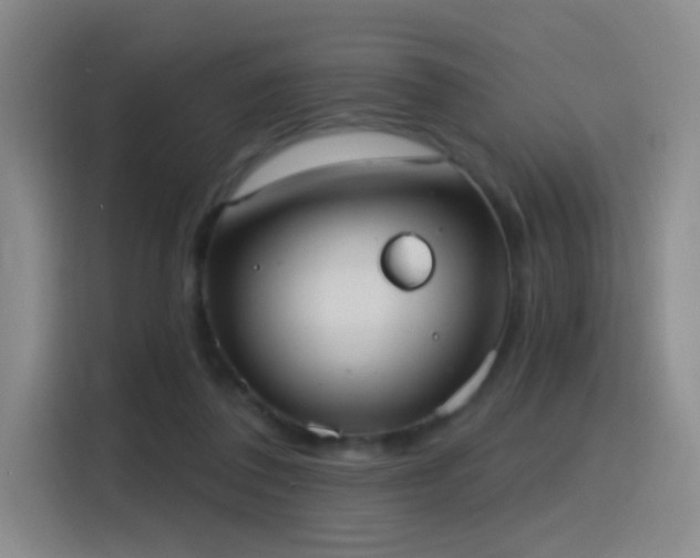 X0000116110308200911231151