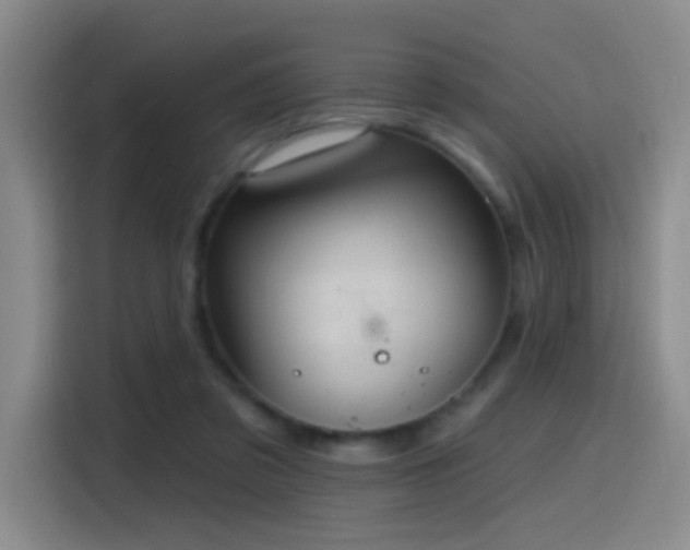 X0000116110309200911231151