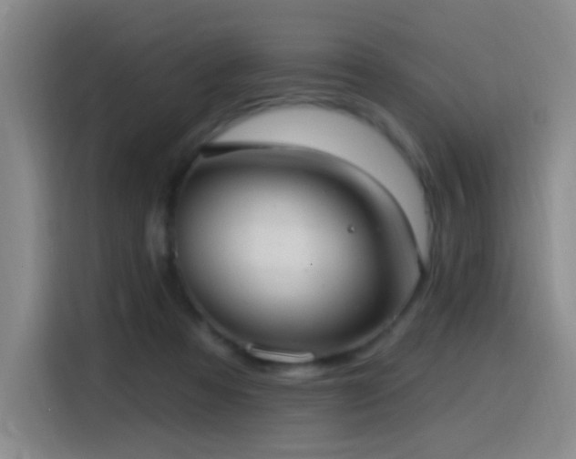 X0000116110313200911231151