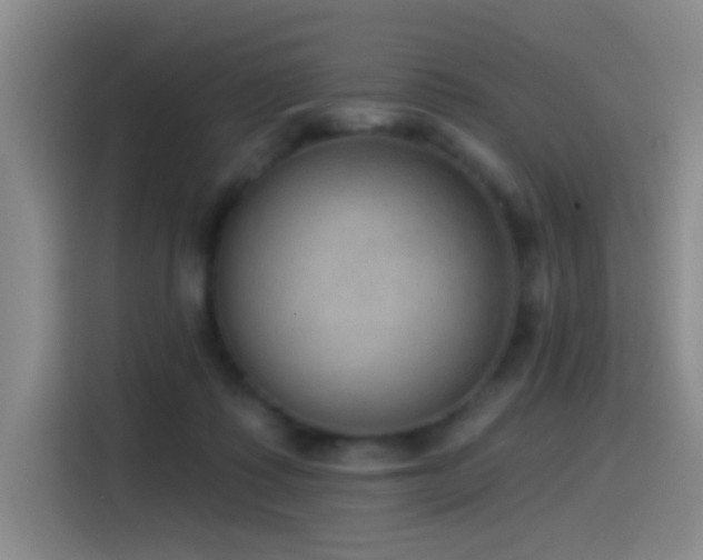 X0000116110315200911231151