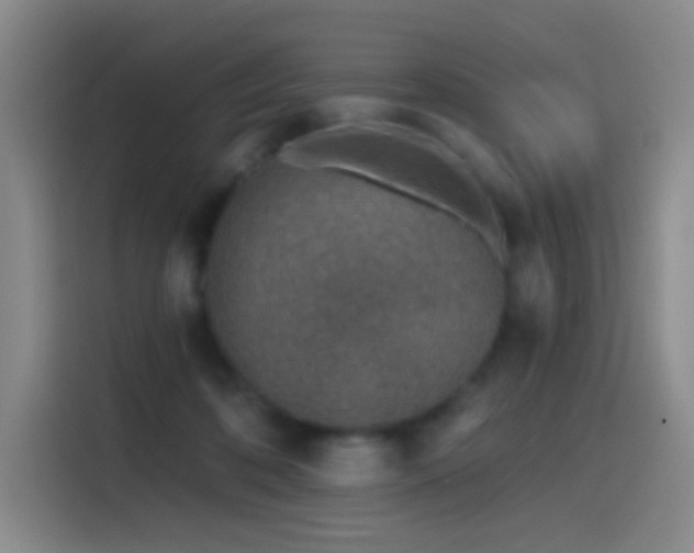 X0000116110316200911231151